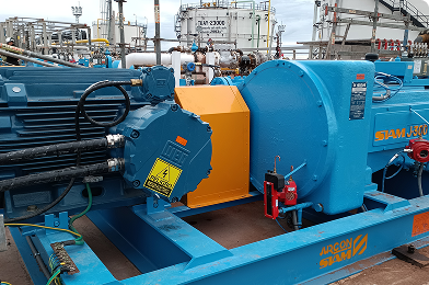 Asesoramiento técnico y revisión de ingenierías en sistemas de bombeo.